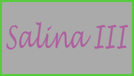 SALINA III's Logo