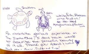 Guest Comment