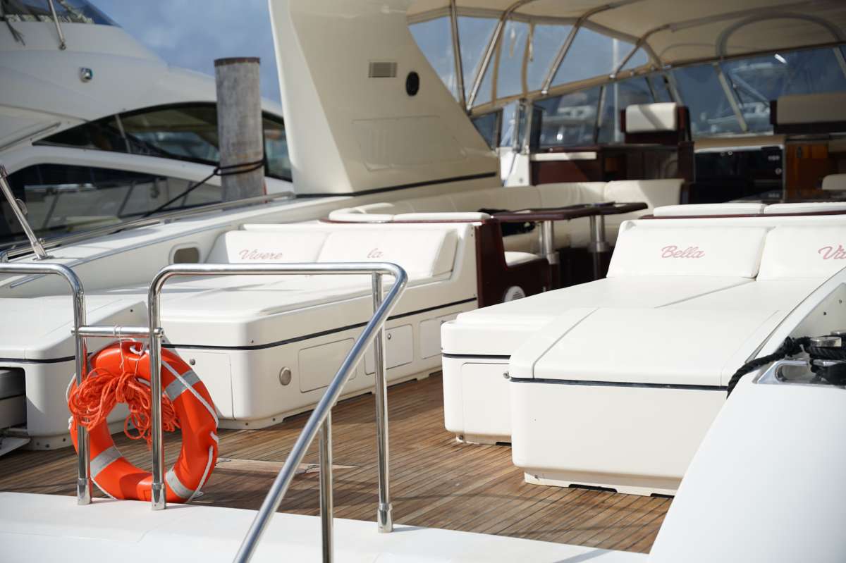 The Gorilla USA - Florida East Coast