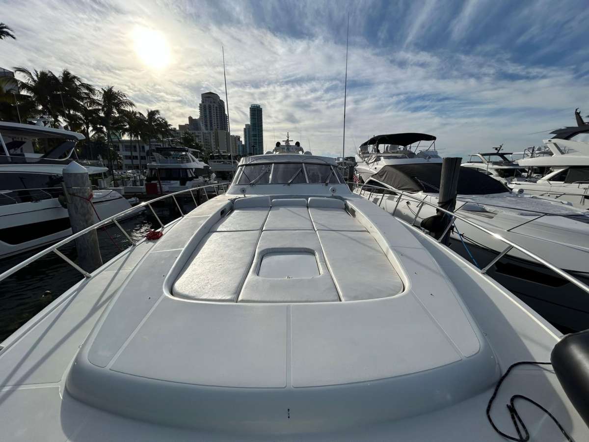 The Gorilla USA - Florida East Coast