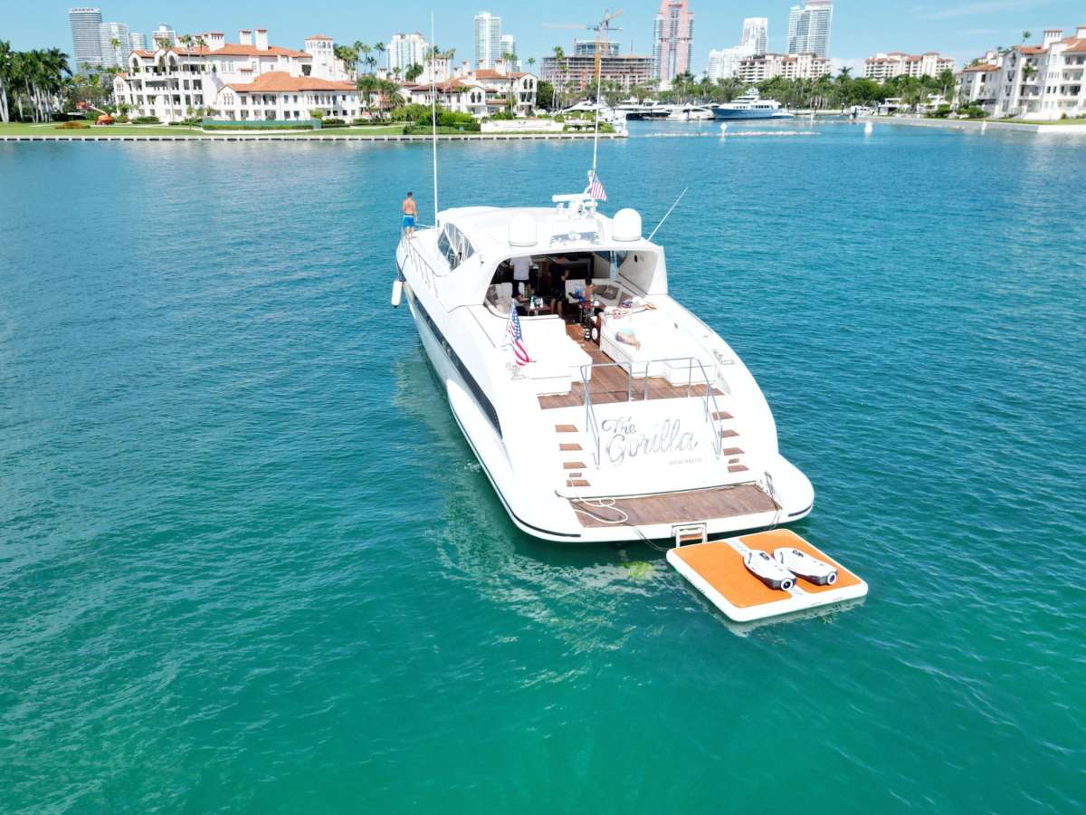 The Gorilla USA - Florida East Coast