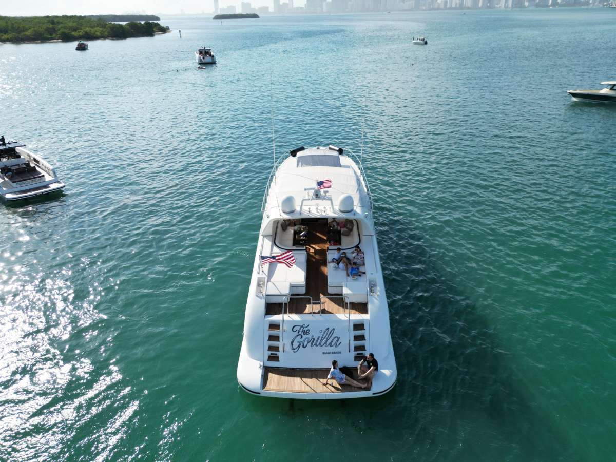 The Gorilla USA - Florida East Coast