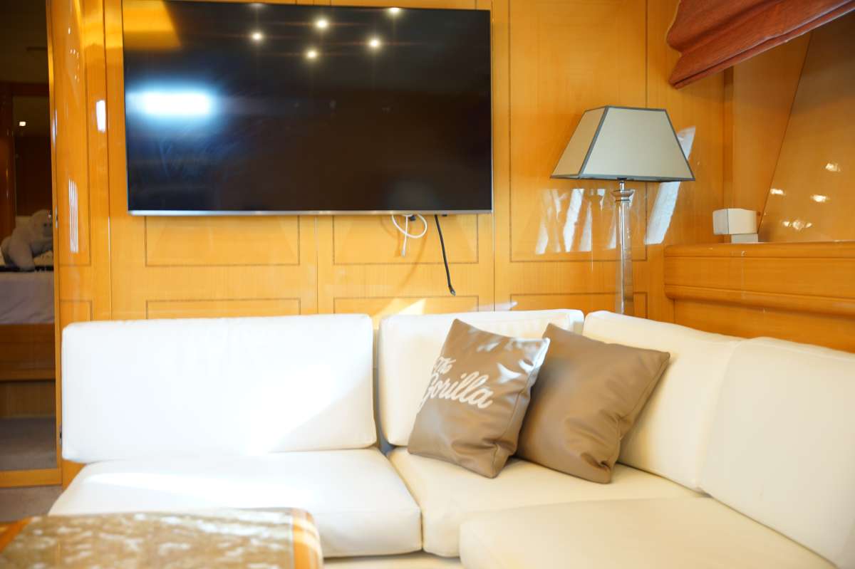 The Gorilla USA - Florida East Coast