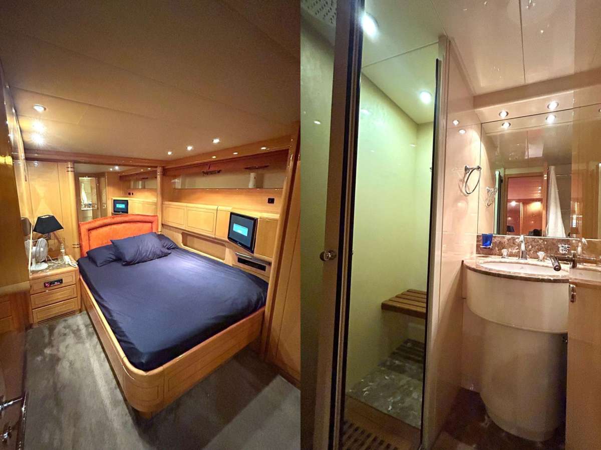 The Gorilla USA - Florida East Coast