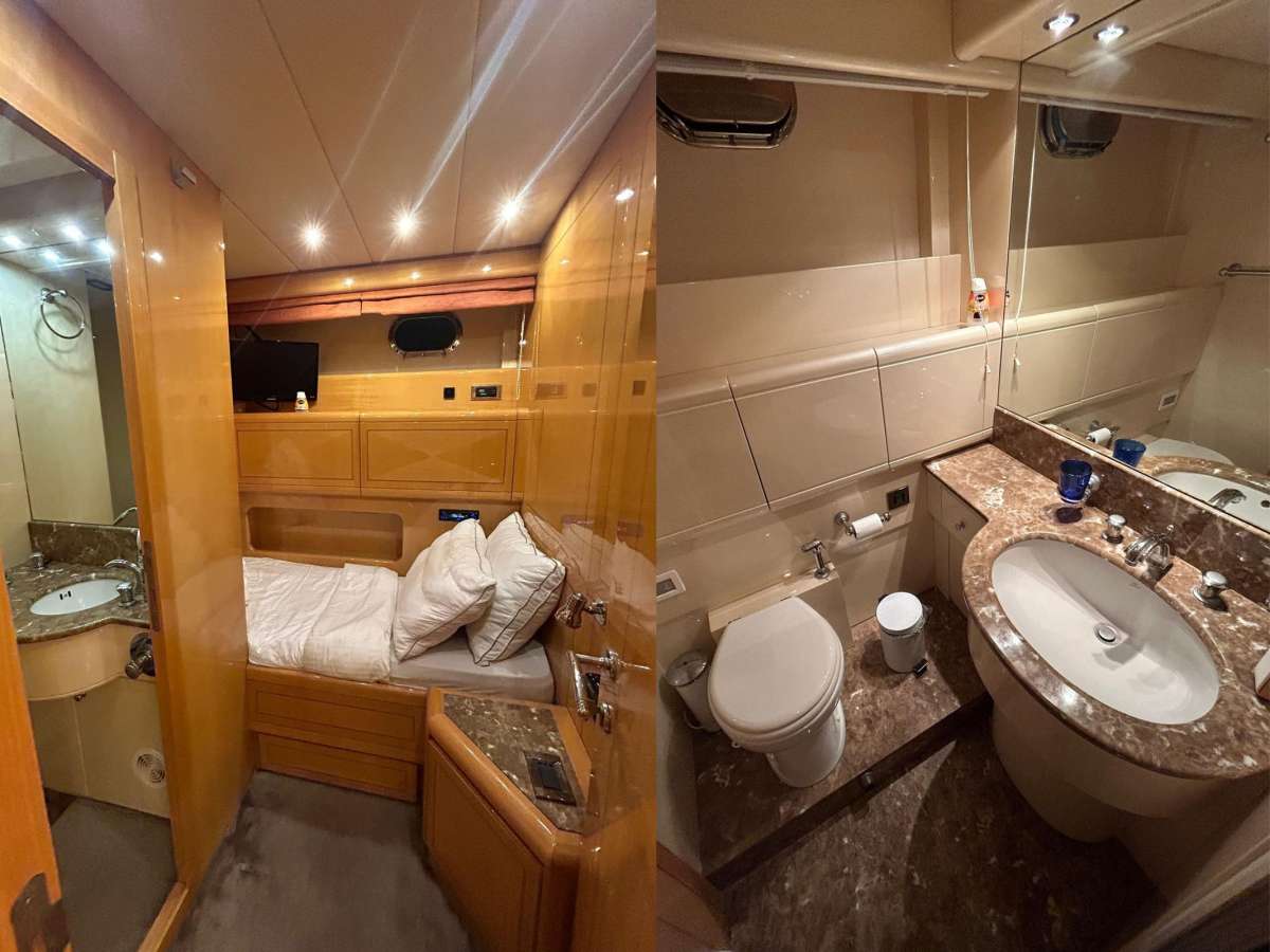 The Gorilla USA - Florida East Coast