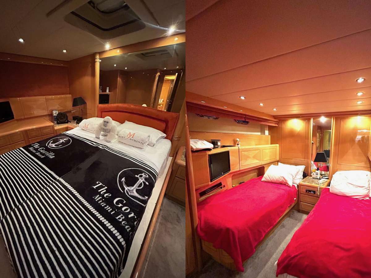 The Gorilla USA - Florida East Coast