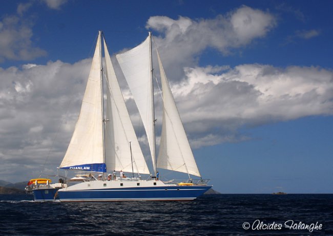 Yacht CUAN LAW