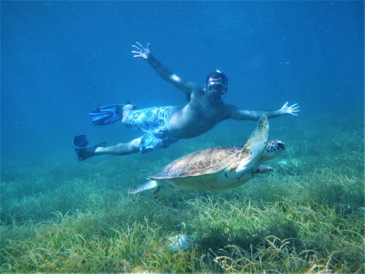 GENESIS guest snorkeling with turtle