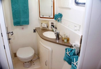 Spacious guest bath w/electric toilet