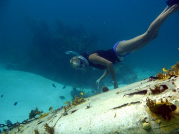 snorkel a sunken plane!