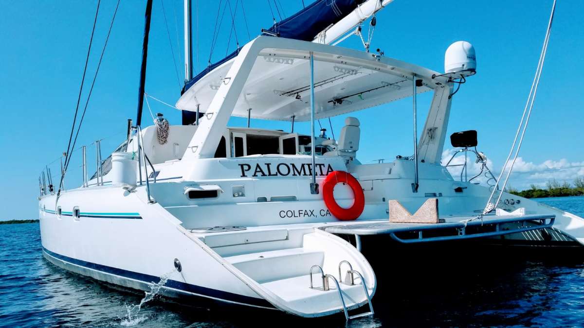 Palometa