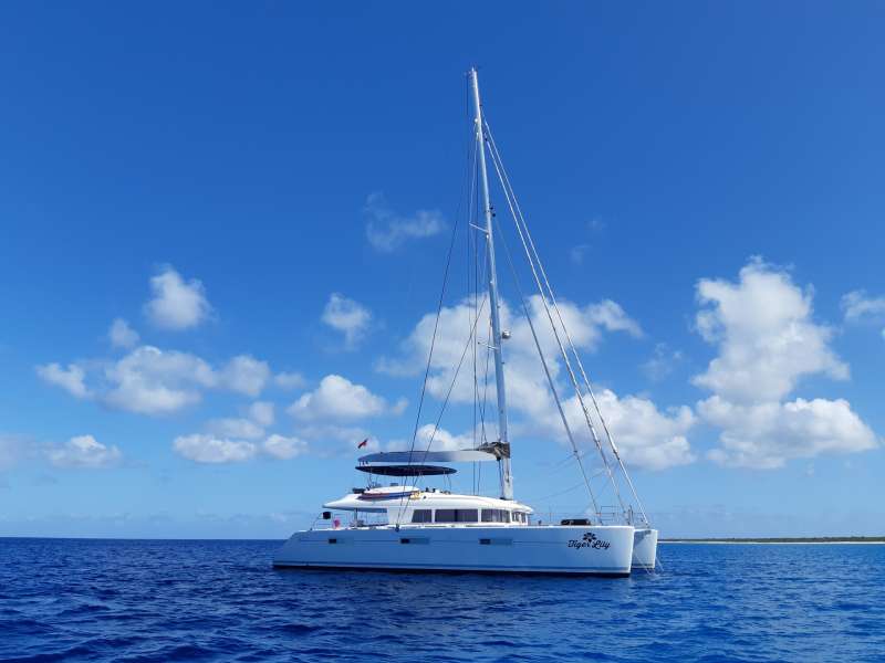  Charter Yacht TIGER LILY 