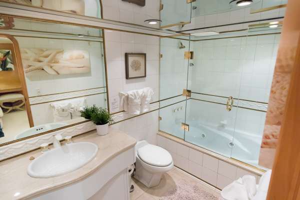 Master bath with Jacuzzi