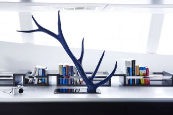 BLUE DEER BLUE DEER