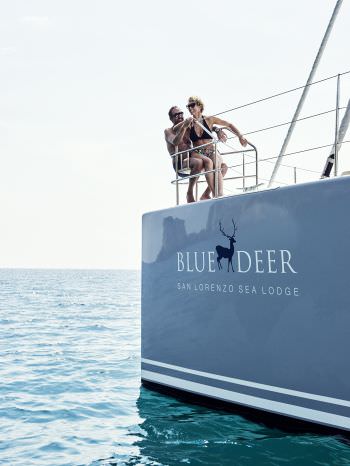 BLUE DEER BLUE DEER