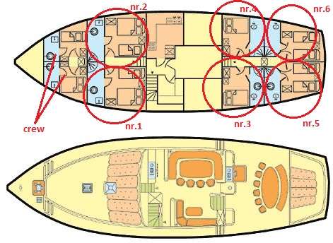 layout