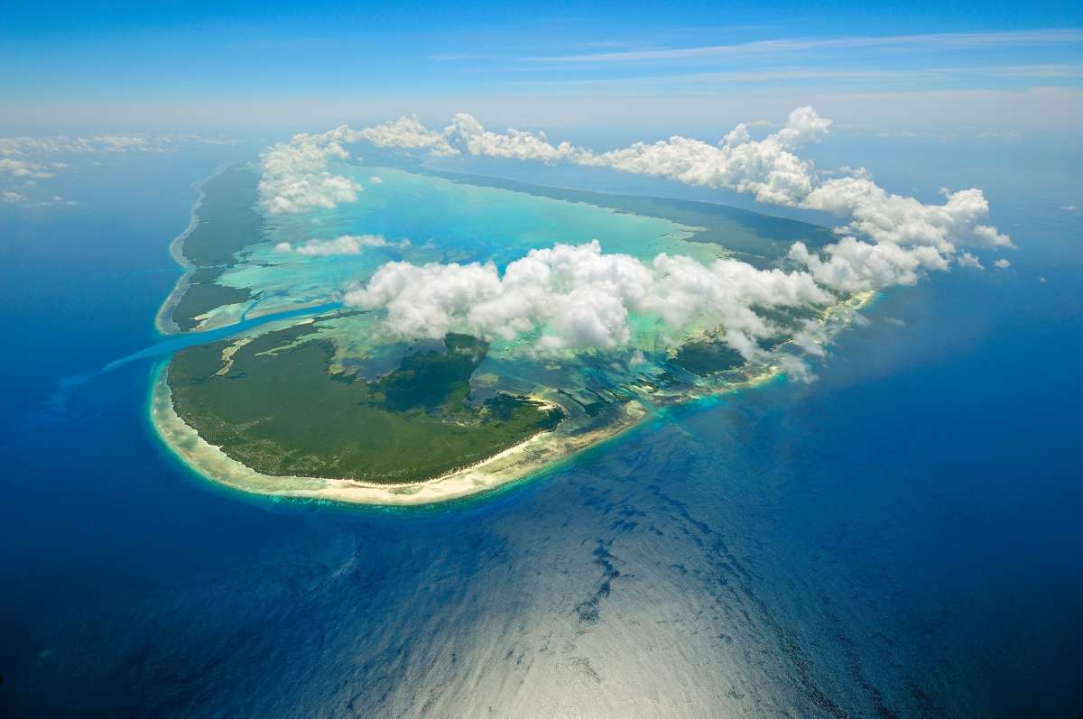 Available in Aldabra 27 Feb - 23 Mar 2024