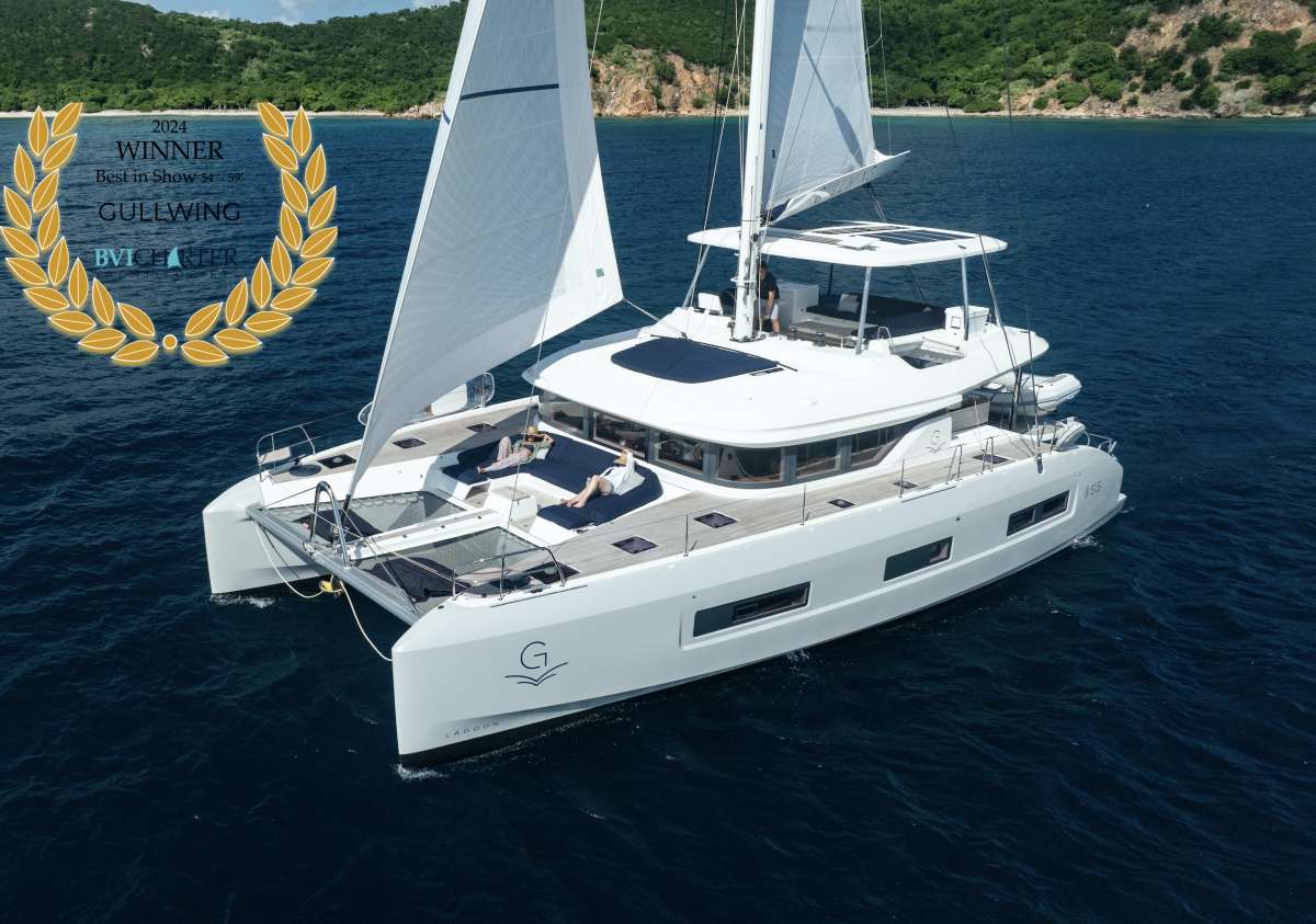 Gullwing catamaran at anchor in the BVI