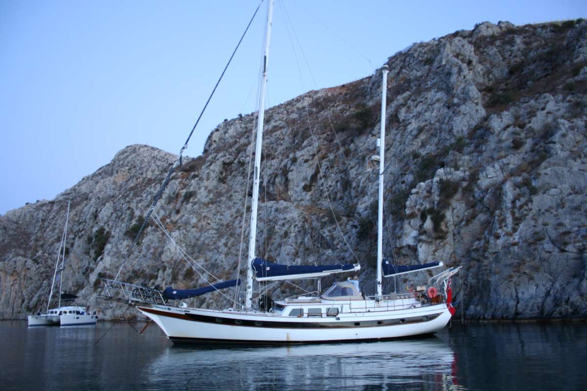 Onfekomonadi