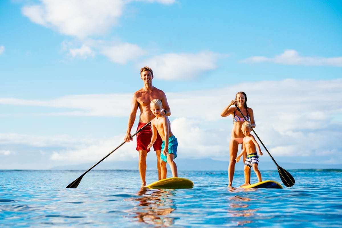 Paddleboards