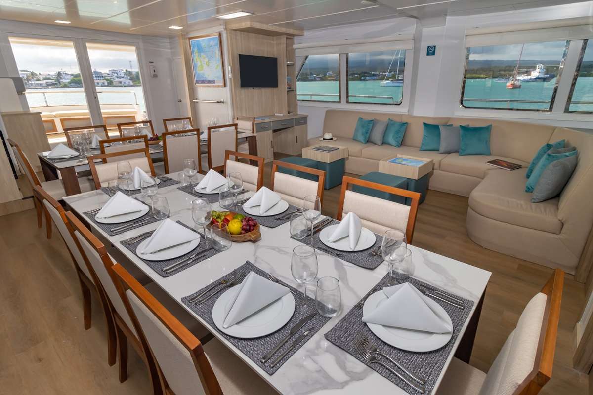 10039brochure2
