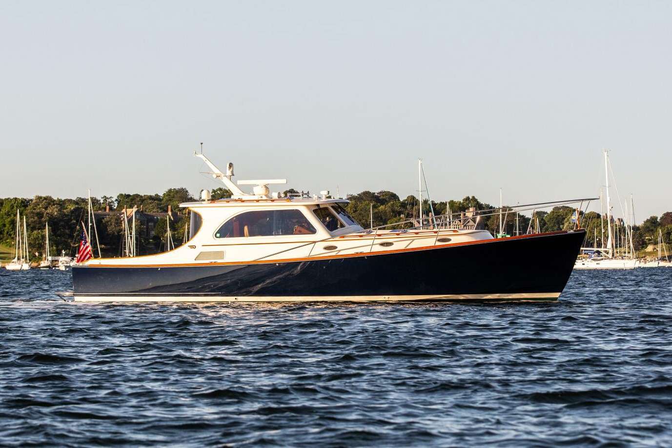 Merlin Image 1/4