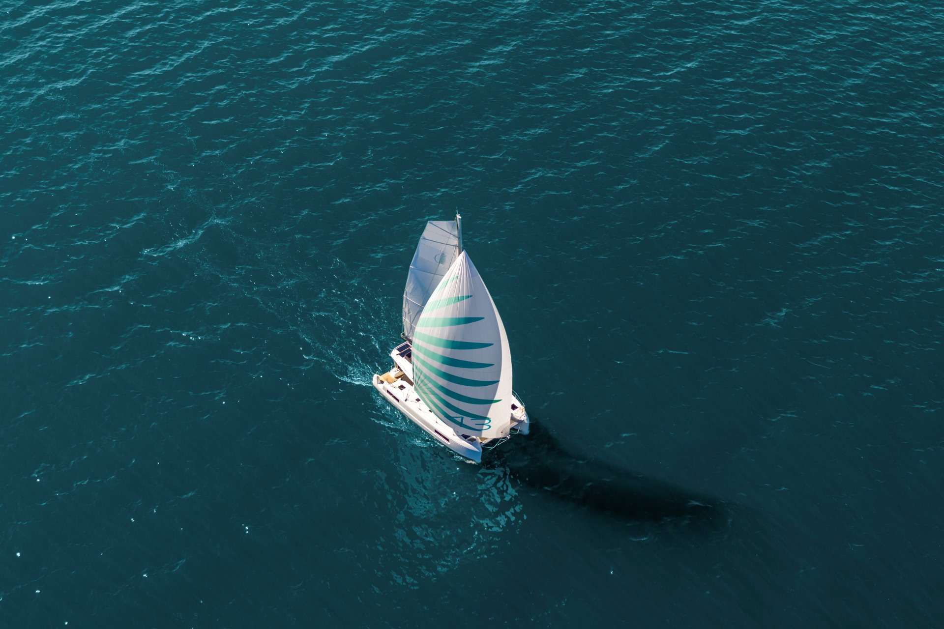 elvis-magic-main-image