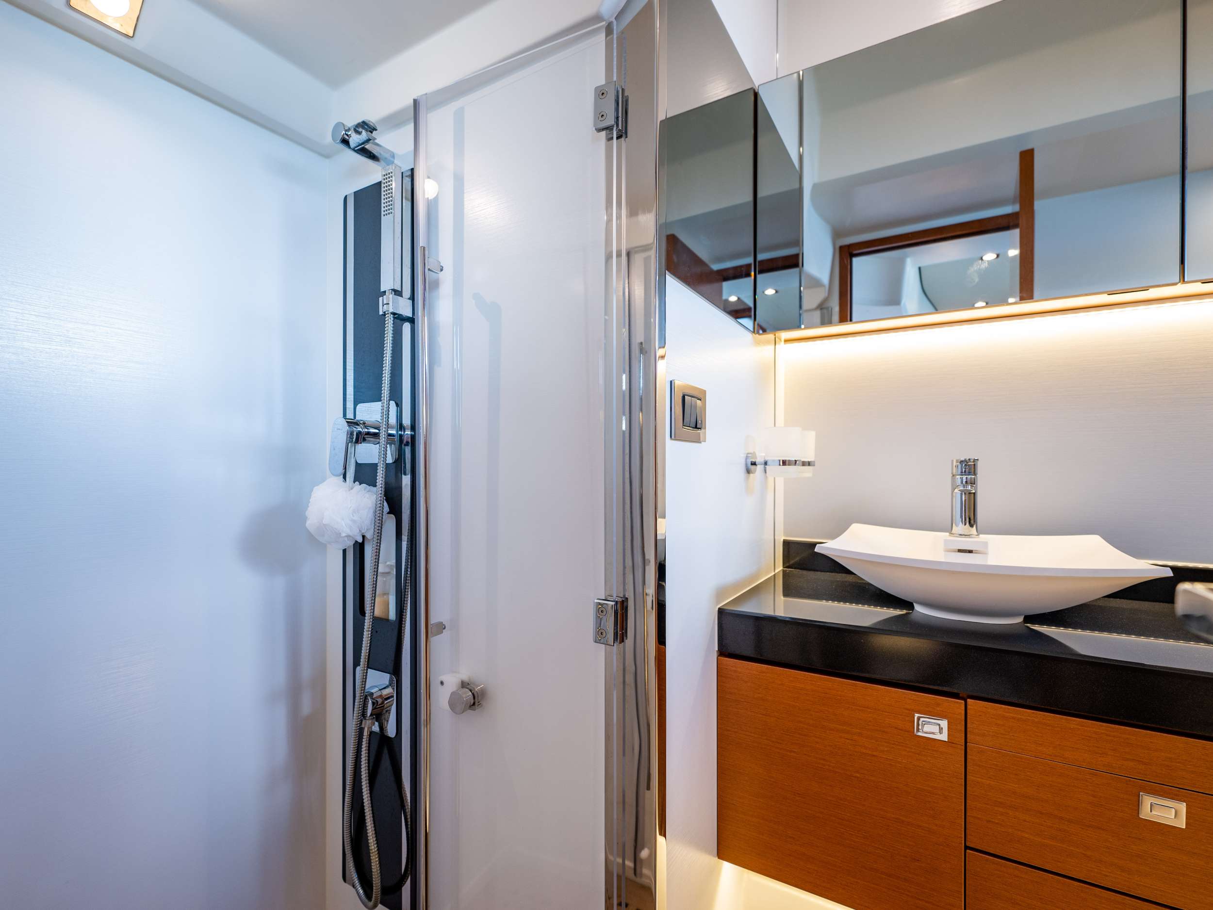 Master suite bathroom view