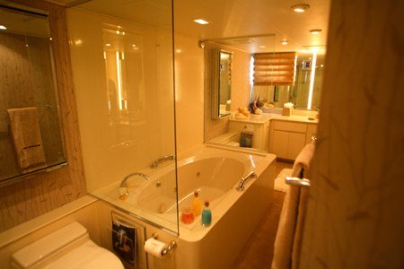 Master Bath/ jacuzzi tub