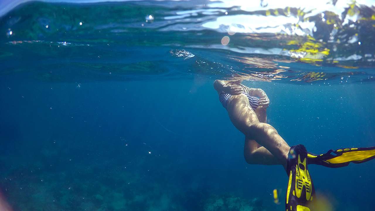 Snorkeling in the anchorage