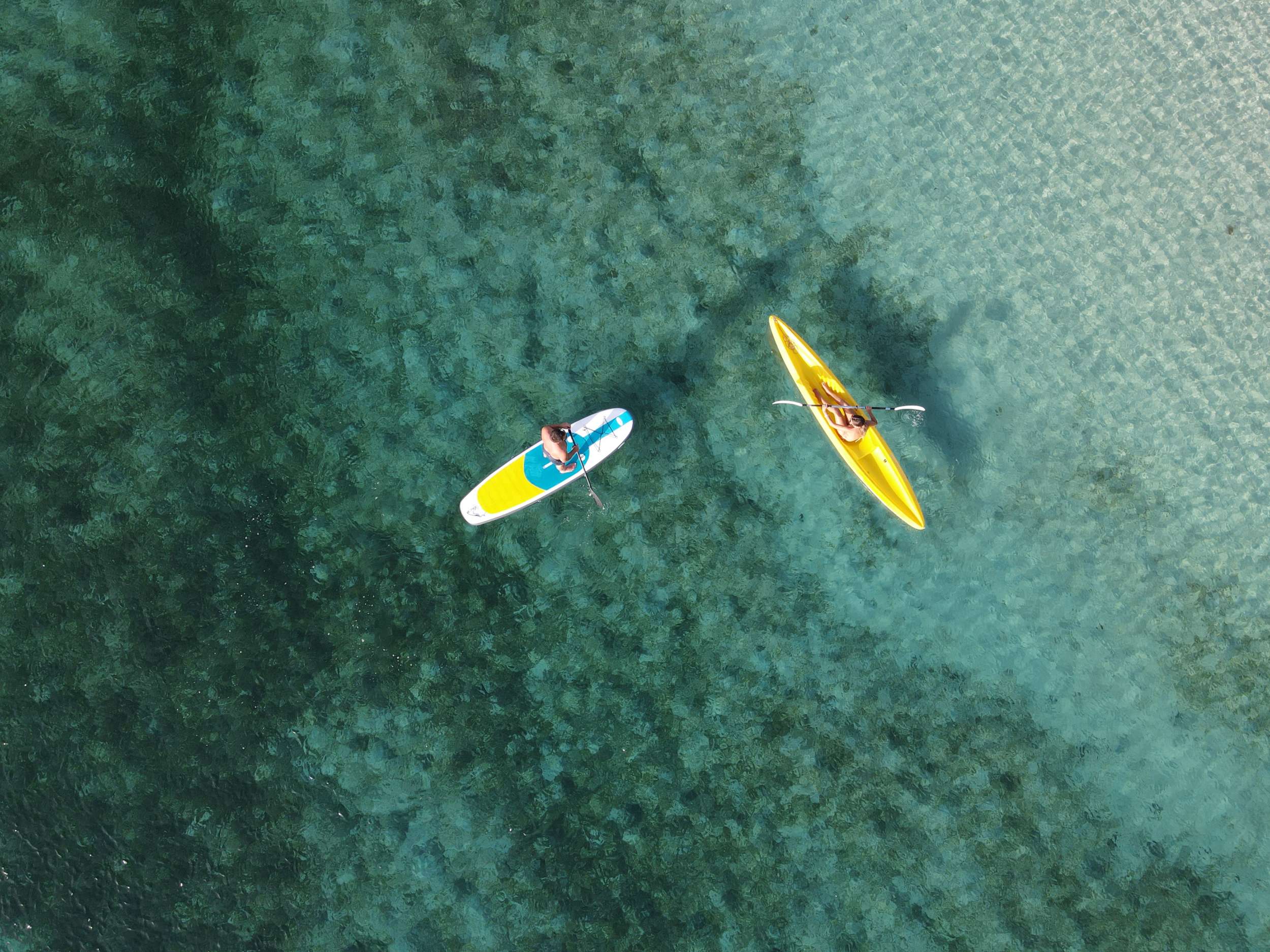Kayak &amp; paddle