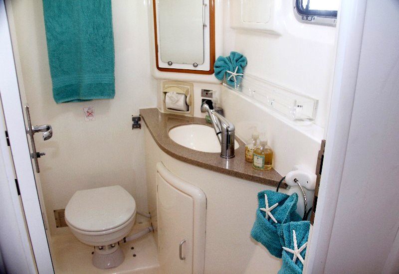 DREAMING ON Yacht Charter - Spacious guest bath w/electric toilet