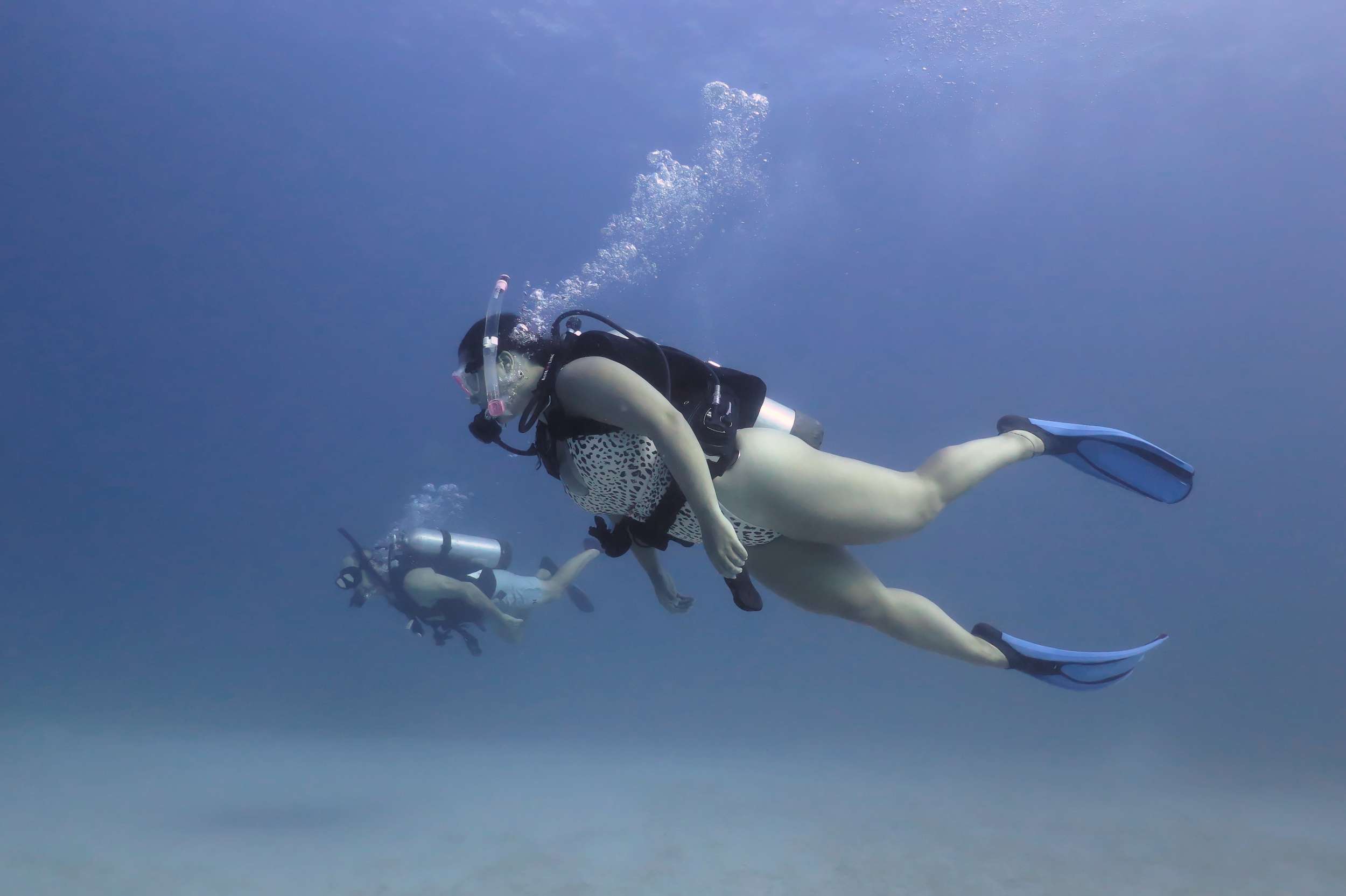 Diving for beginners to very experienced.