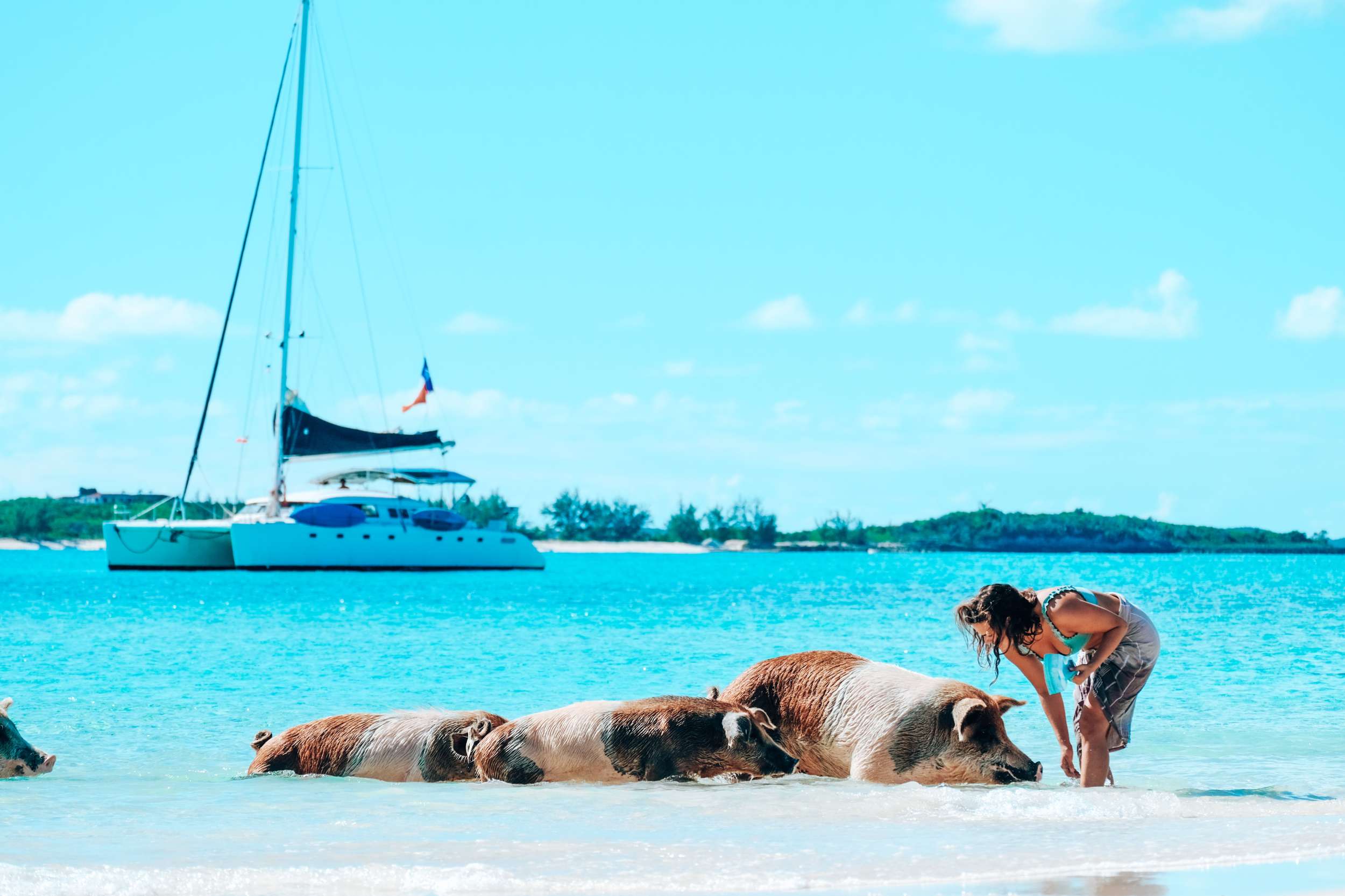 MISS ELIZABETH Yacht Charter - Pigs on the Beach