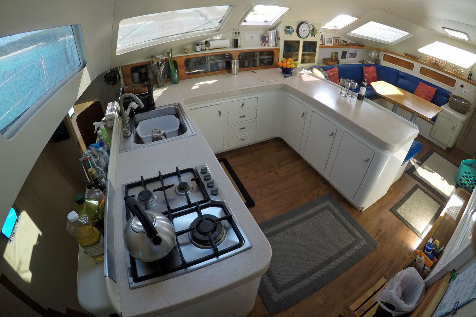 Catamaran Swish