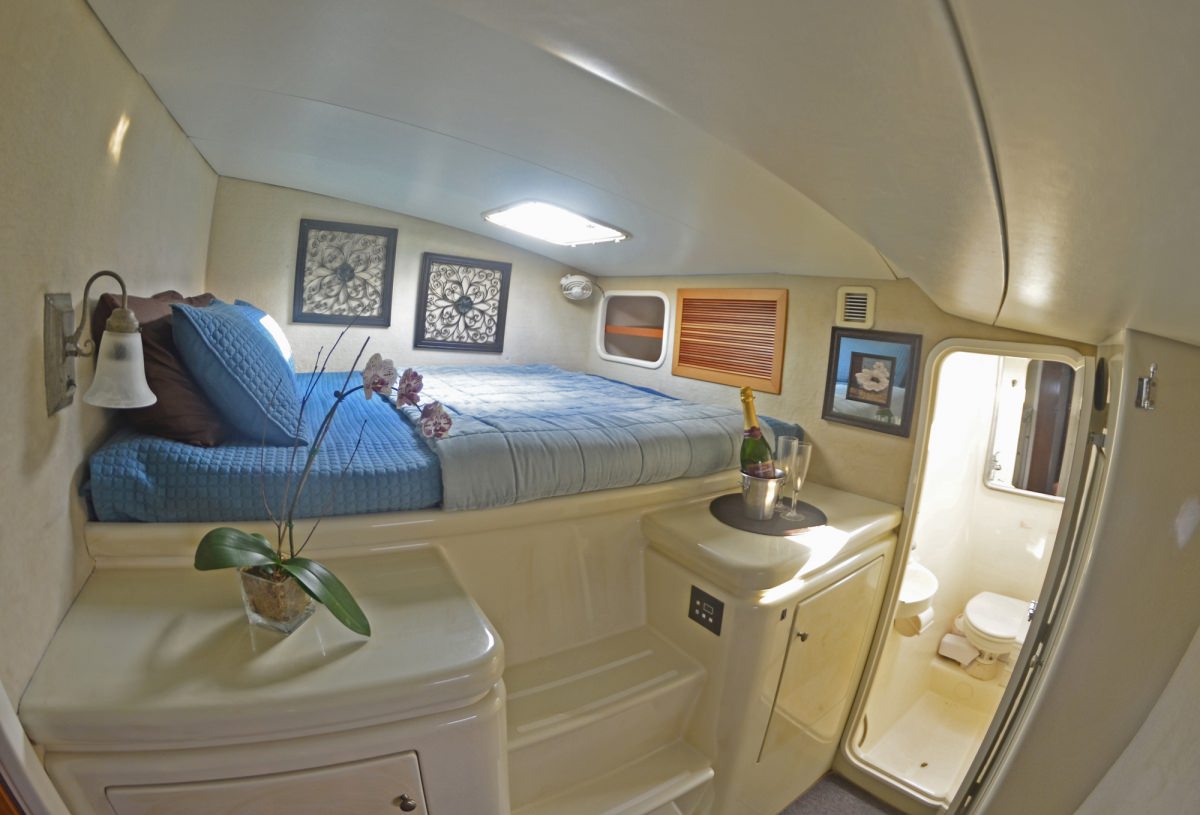 Charter Swish
