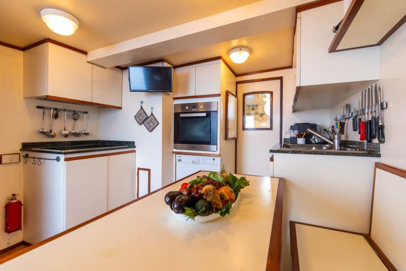 DP MONITOR Yacht Charter - Galley