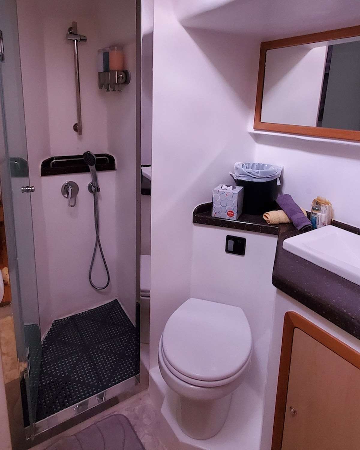 MANNA Yacht Charter - Midship Bathroom
