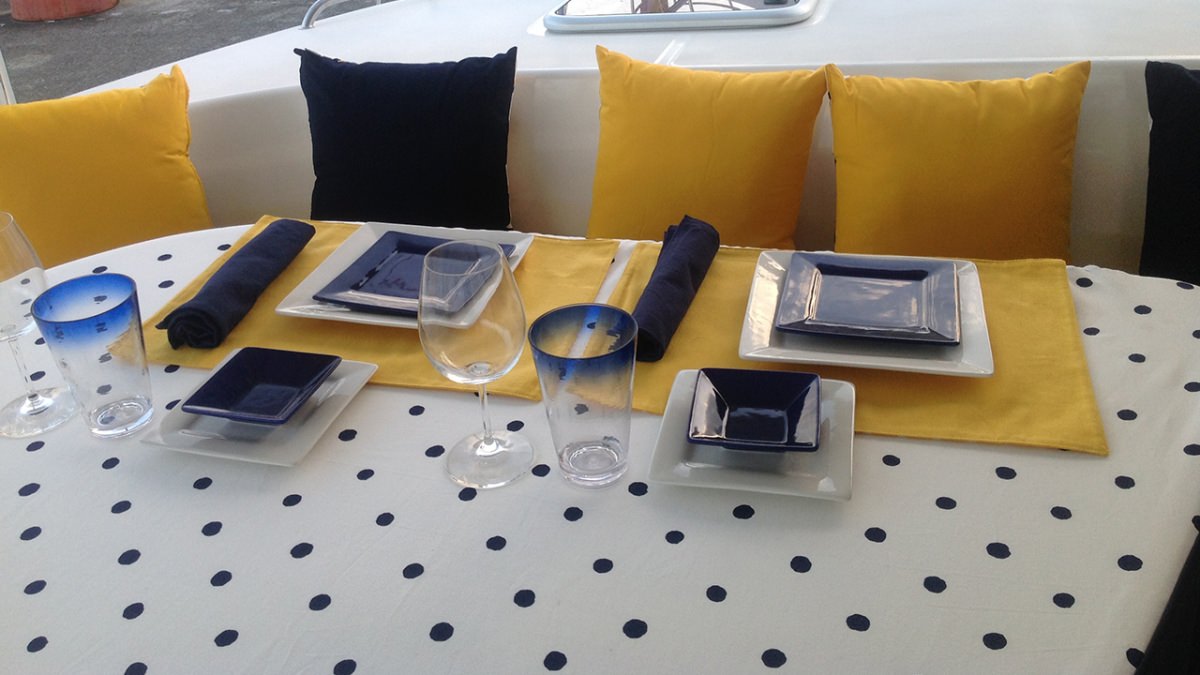 Catamaran Charter Firefly 46