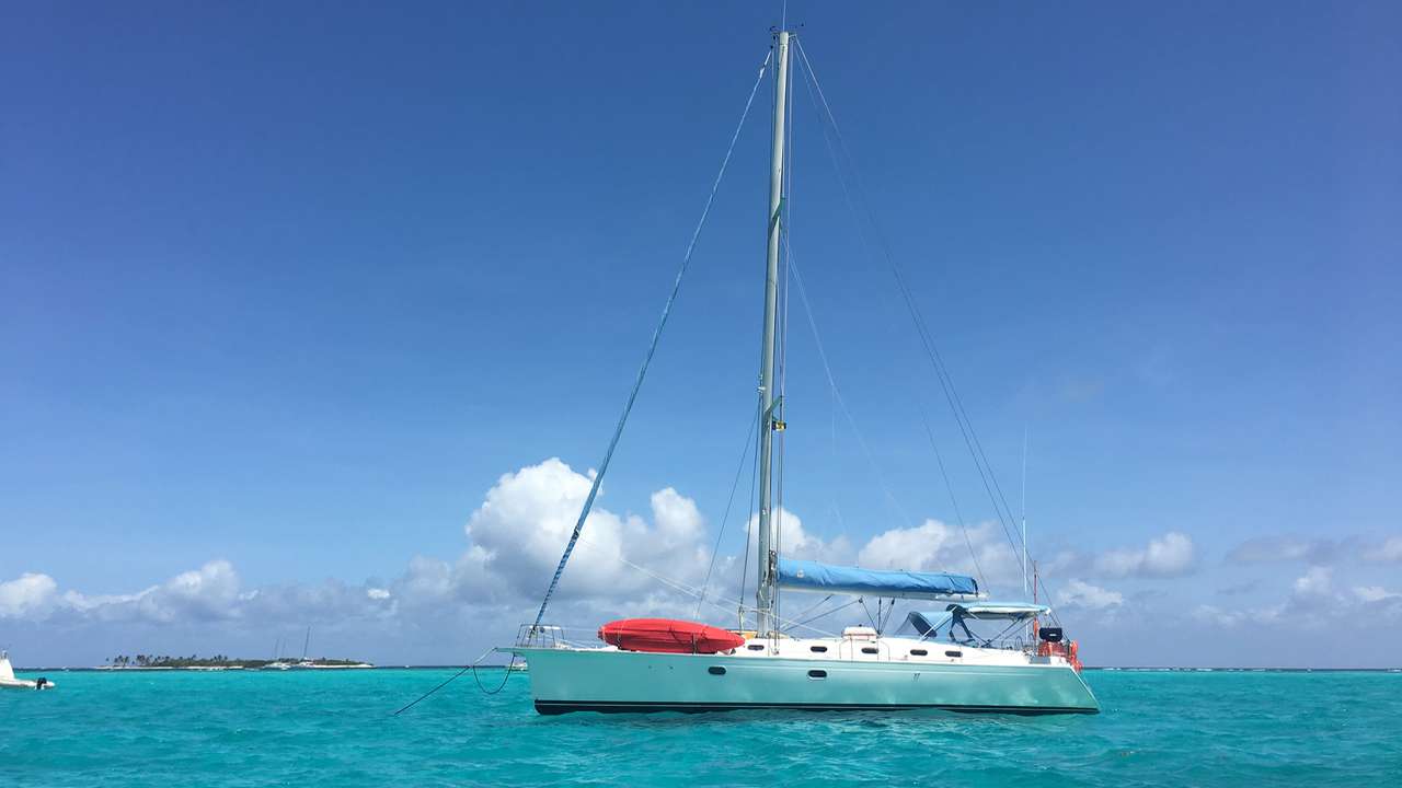 Nemo in Tobago Cays, Grenadines