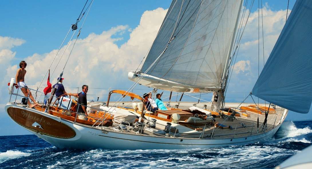 white fin sailing yacht