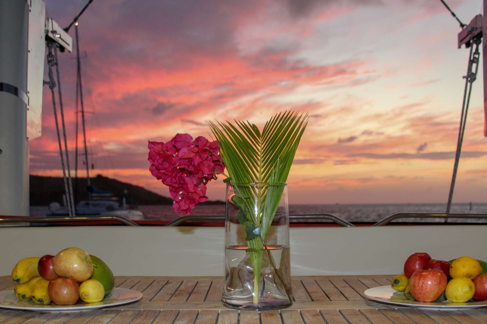 Catamaran Charter Wild Cat