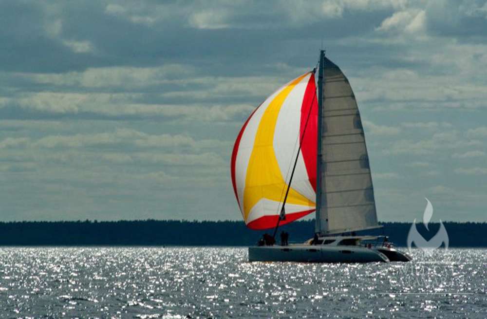 Catamaran Charter Wild Cat