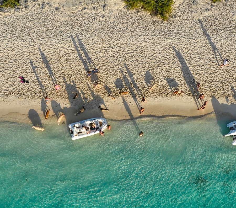 Catamaran Charter Eternity