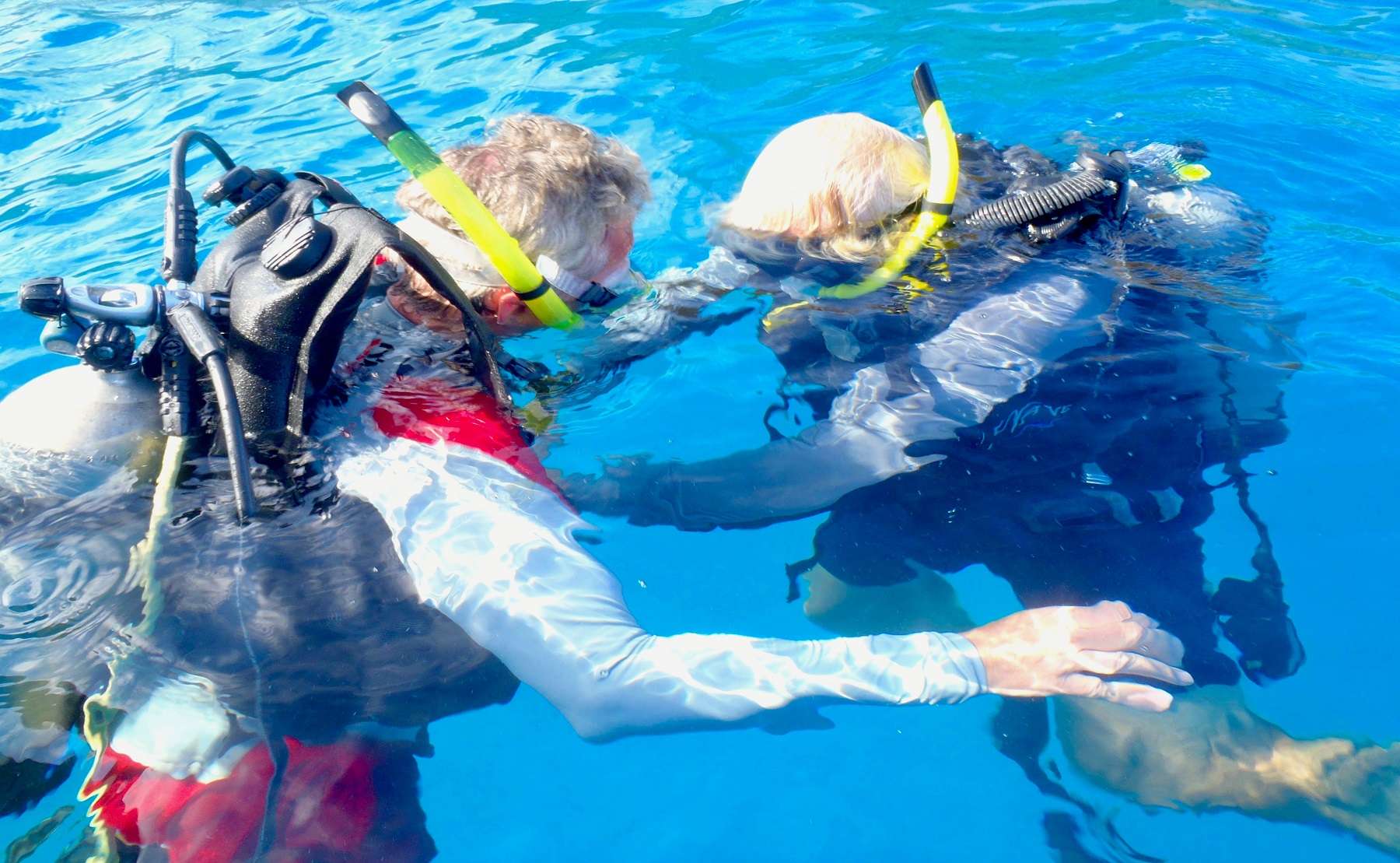 What they do best - Scuba Instruction