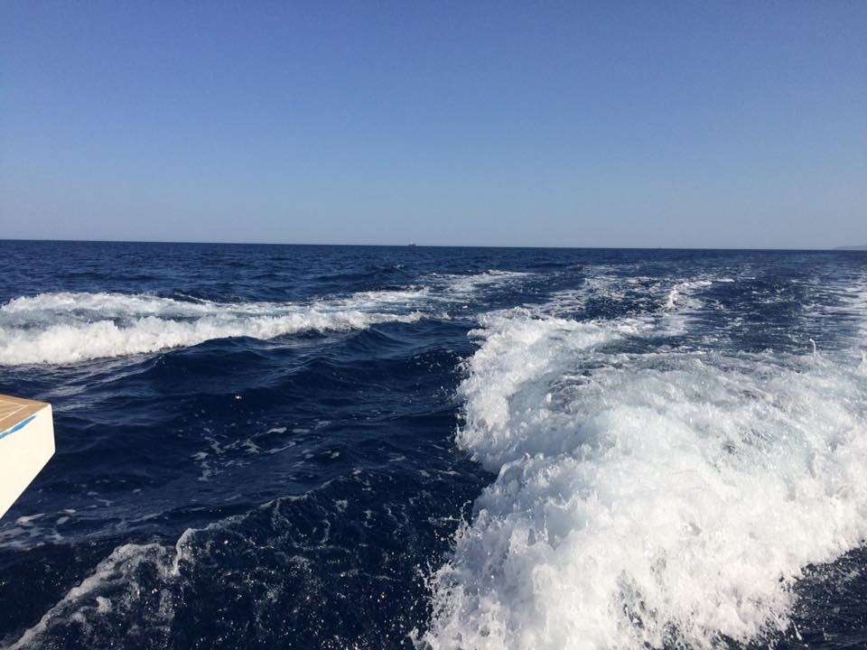 Catamaran Charter Solar Wave