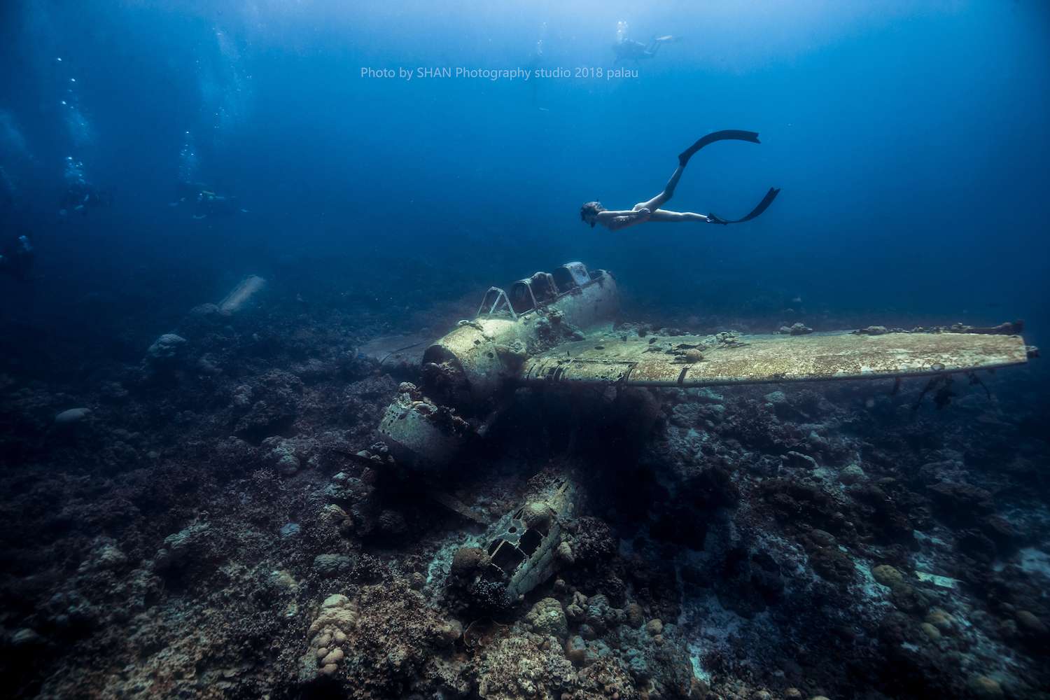 Underwater life