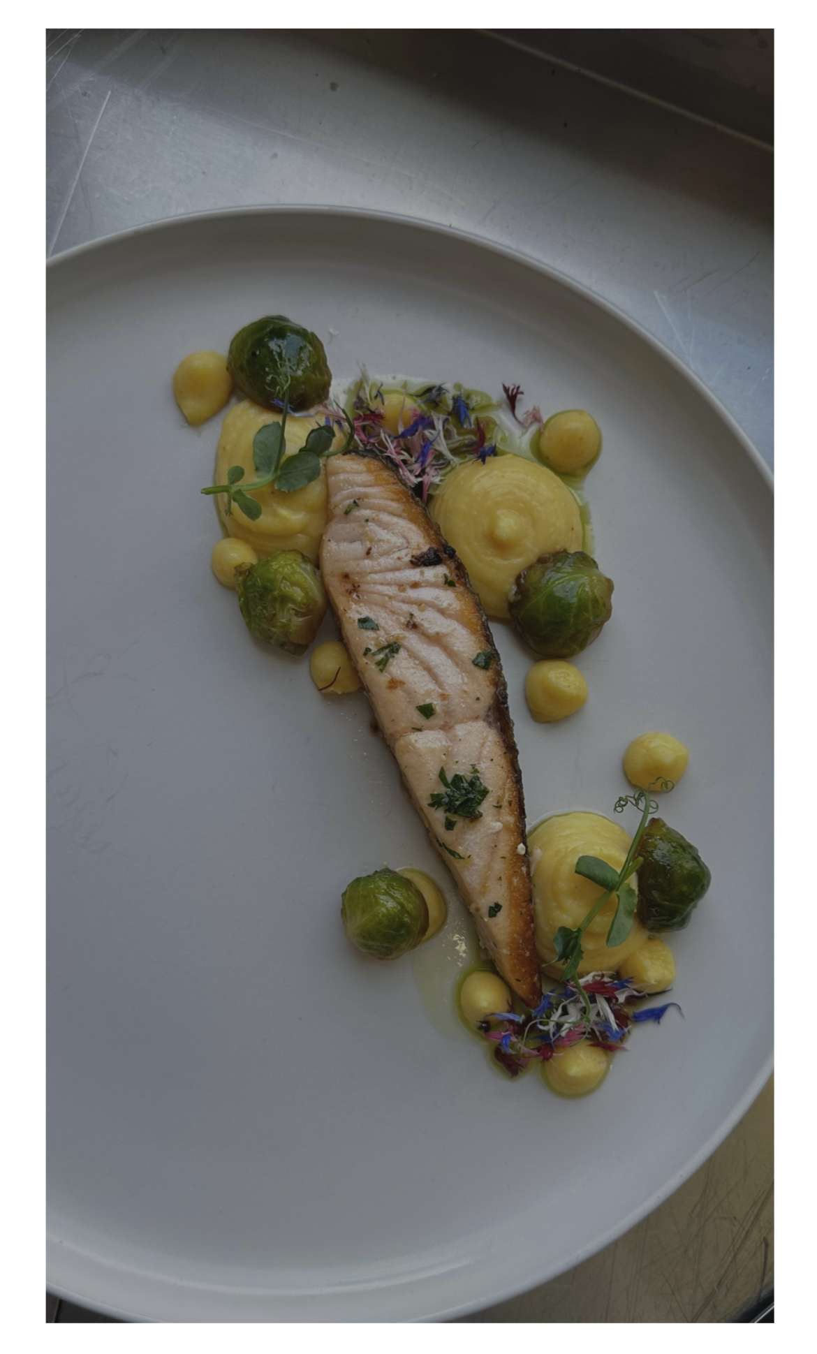 Menu Image 2