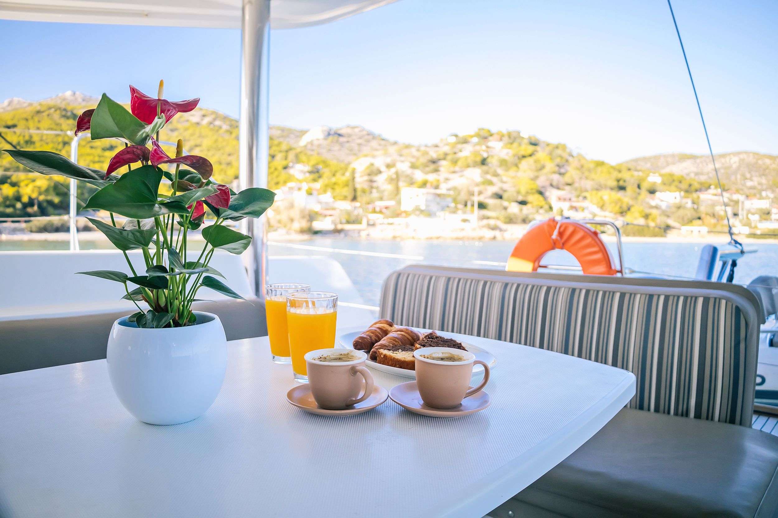 WHITE PEARL | Photo 14