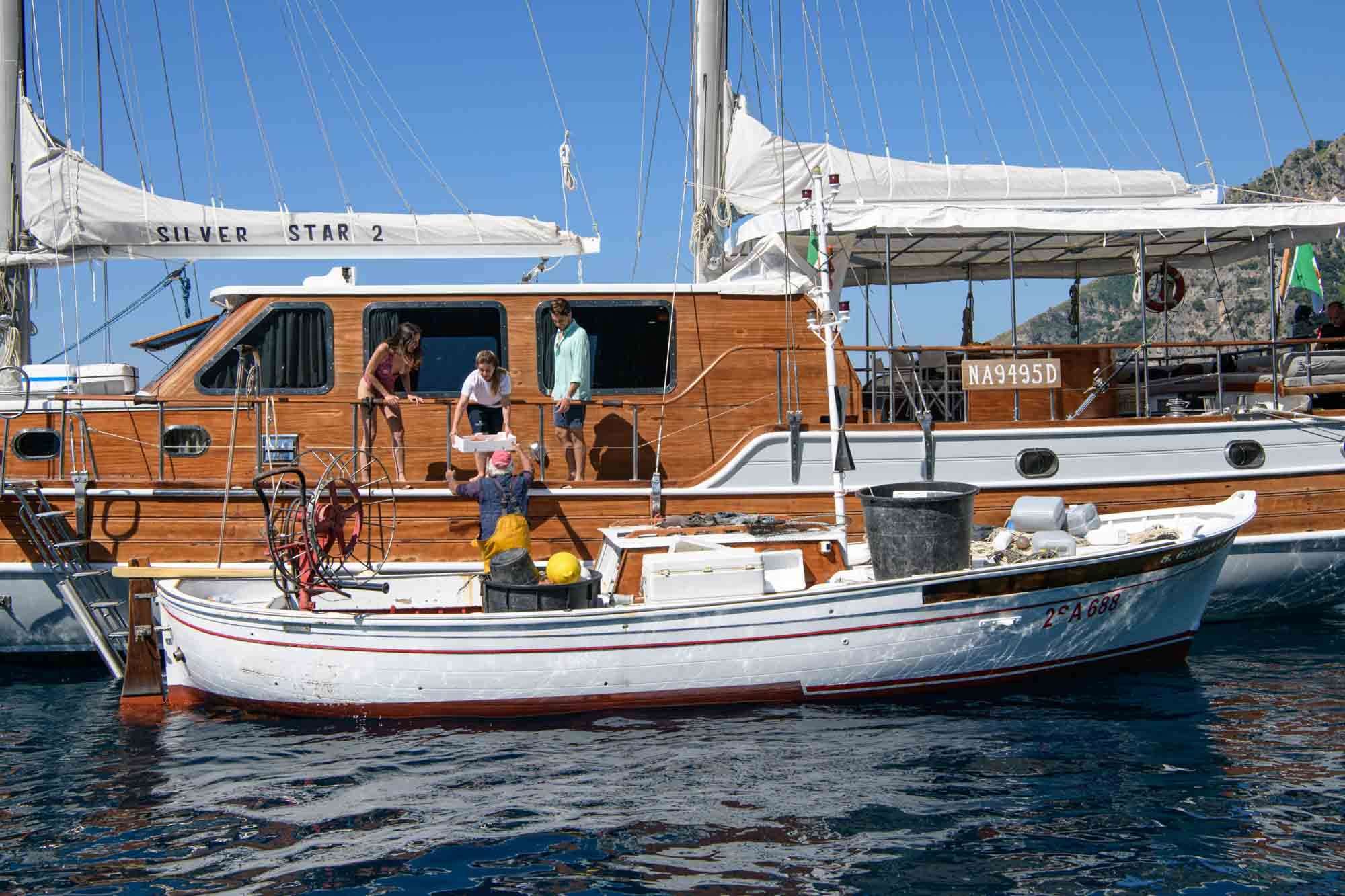 SILVER STAR 2 | Photo 10